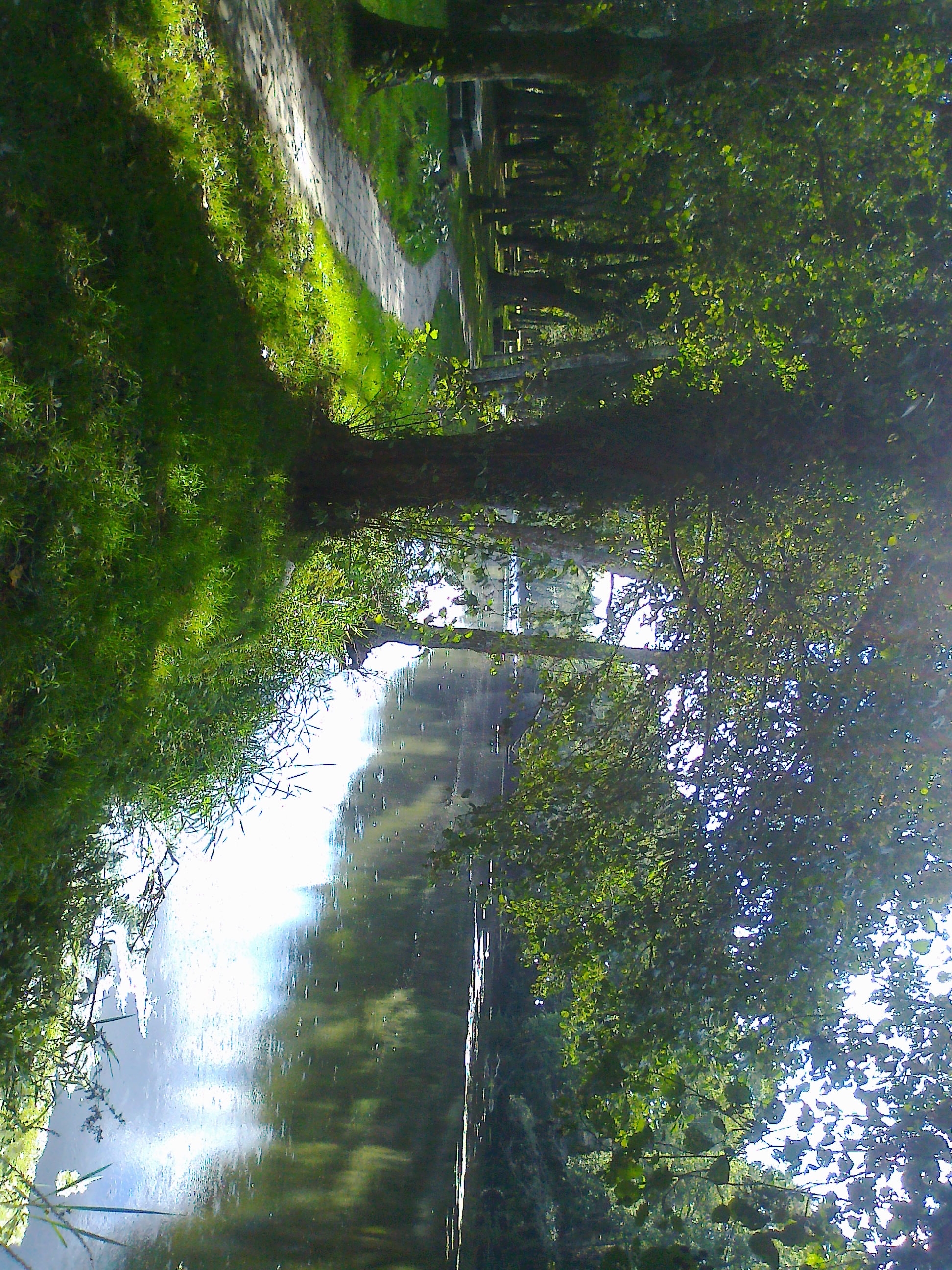 foto0046.jpg